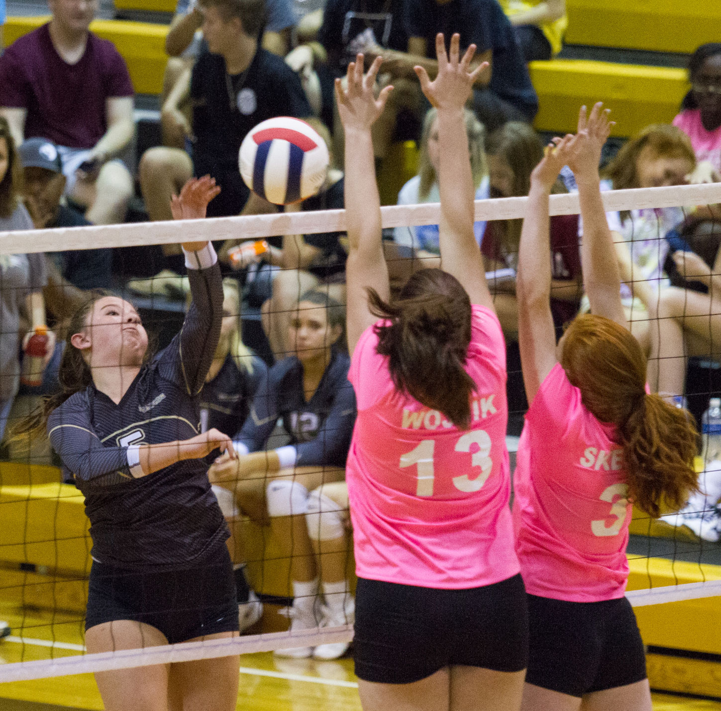 Dra-Pat vball 3.JPG